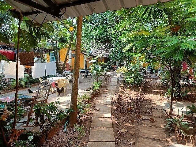 Фото Pinto Guest House 2*